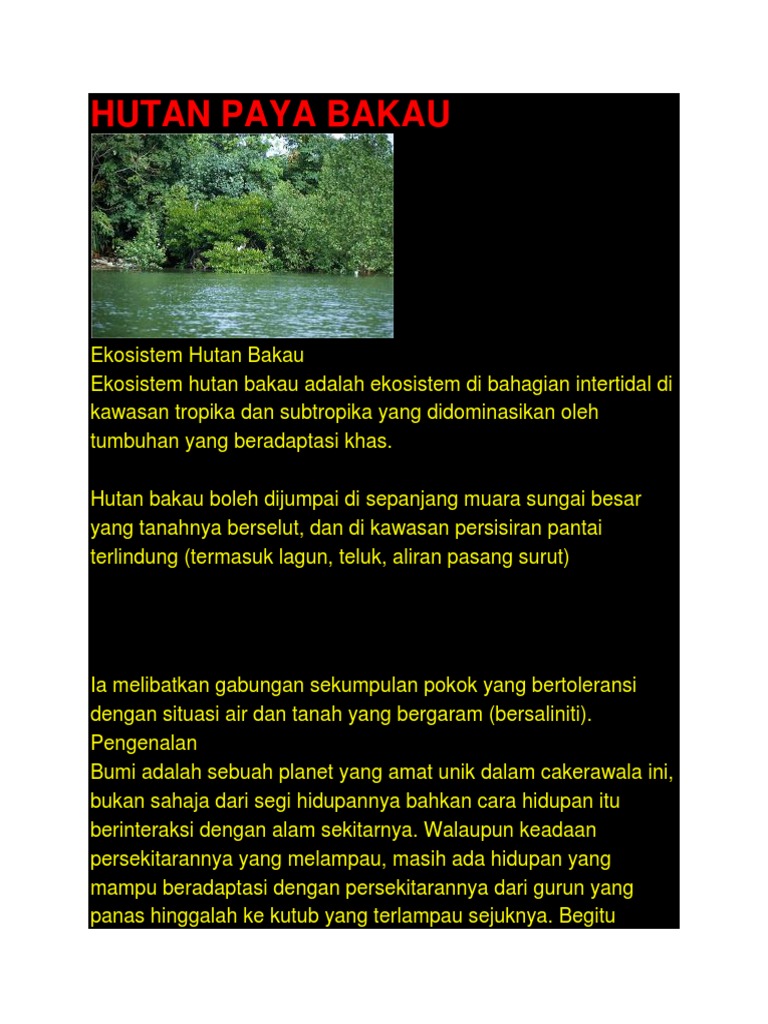 Hutan Paya Bakau Pdf