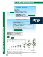 Schema Porumb