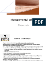 Managementul Echipei - Liviu Plugaru