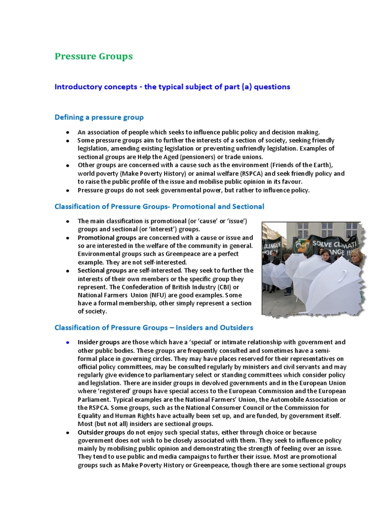 Pressure Groups | PDF | Advocacy Group | Democracy