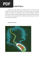 Download Definisi Penyakit Kolera by Athara Somana SN221372110 doc pdf