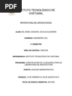 Ejemplo Informe Final de Servicio Social  Bases de datos 