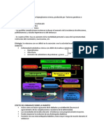 Diabetes y Embarazo