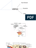 Ciclo Ovárico