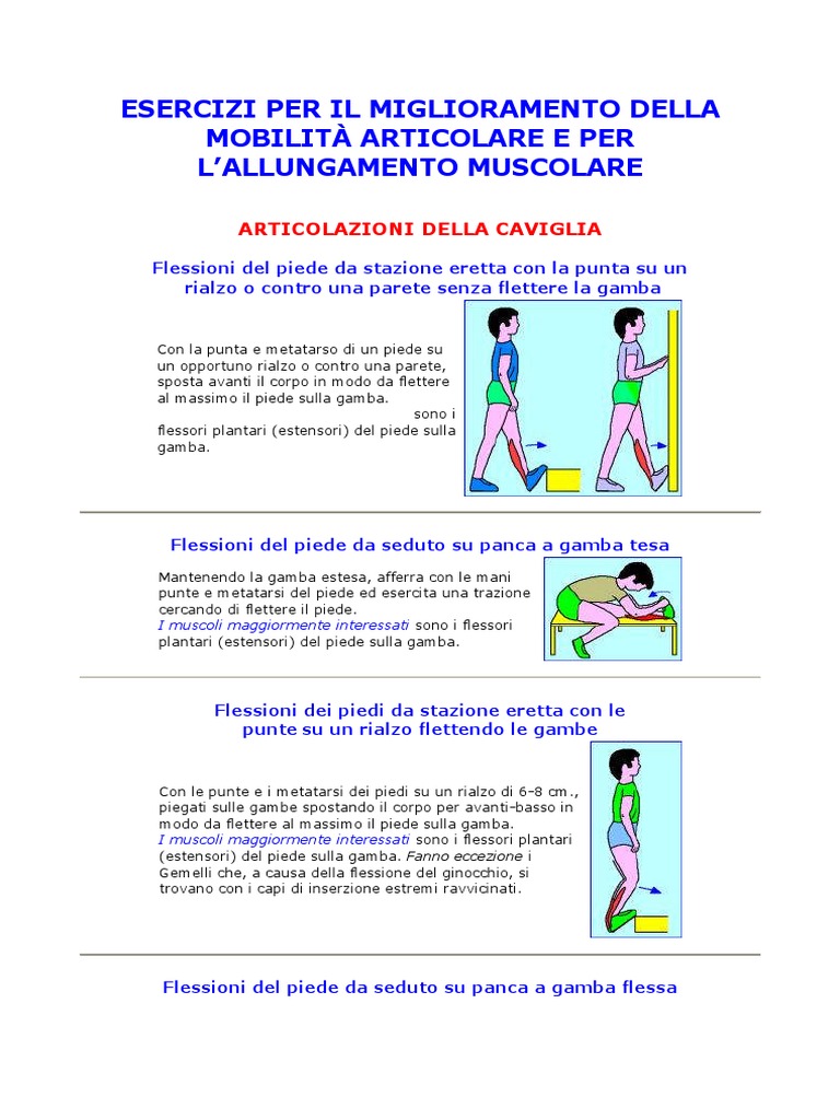 Arkopharma Complesso Arkogélules Flessibilità E Mobilità Articolare - Foto 10