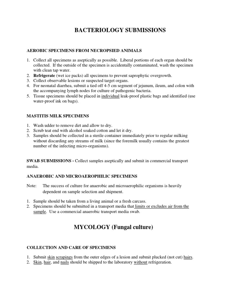 Bacteriological Samples Vagina Fungus