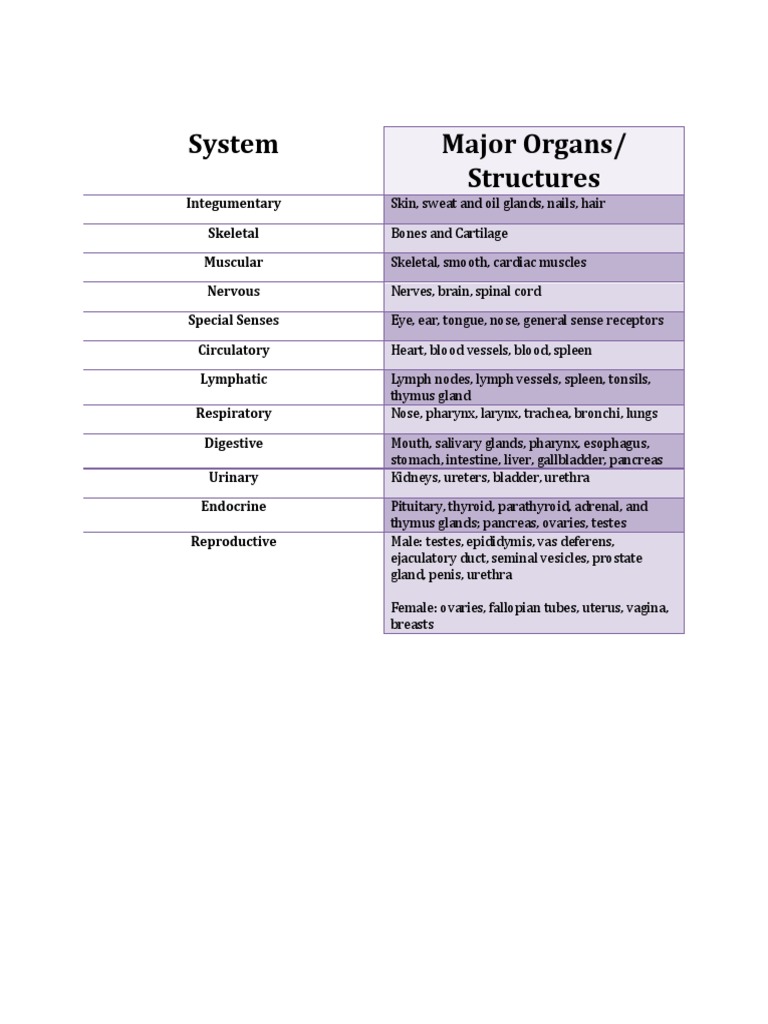 Organ Systems | PDF | Wellness