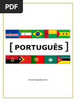 Portugues - Guia Grammatical / Portuguese Grammar Guide