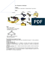 Níveis de Organização Biológica