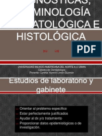 Ayudas Diagnosticas, Terminología Dermatológica e Histológica