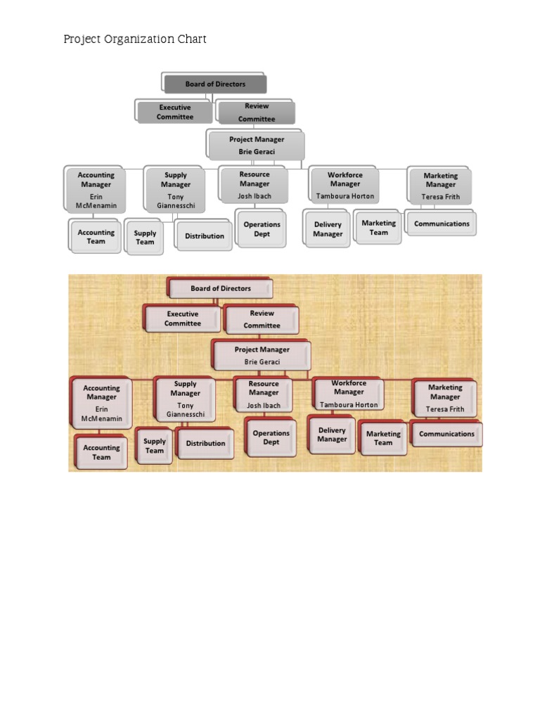 Project Organization Chart Overview | PDF | Career & Growth | Business