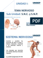 Sistema Nervioso Central PDF