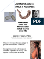 Esquistosomiasis en Hum y Anim1