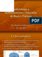 Embriología y Malformaciones Congénitas de Boca y Faringe1