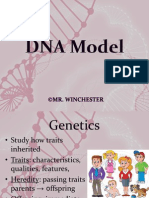 dna model 2