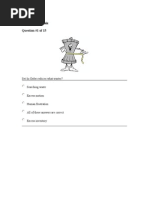 5S Overview Quiz