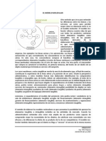 Modelo Molecular y Servuccción