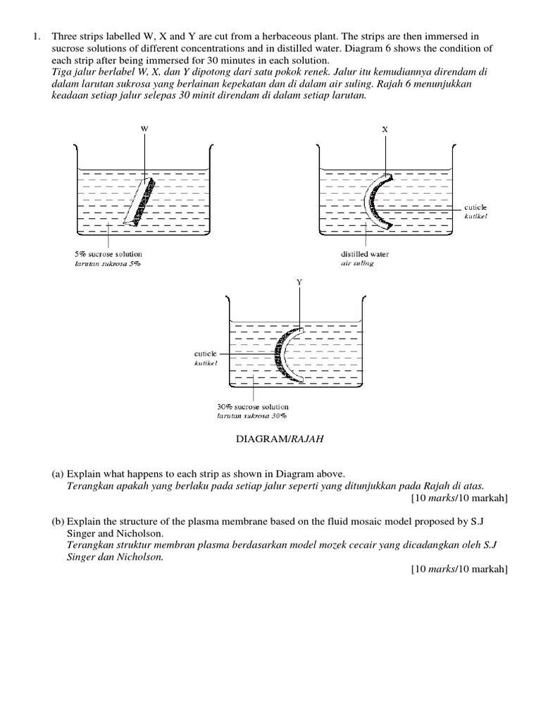 Compare the structure and function of tight junctions, desmosomes, and gap junctions image