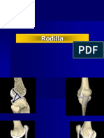 Rodilla