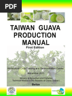 Download Guava T by Carlos Hernandez SN221520330 doc pdf