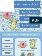 Group 2 General Structure of Cell