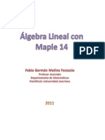 Algebra Lineal Con Maple