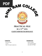 PDF Document