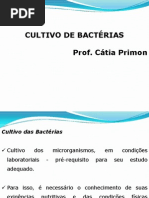 cultivo de bactérias - aula 6.pptx