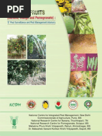 Download Fruits by blackwater SN221575005 doc pdf