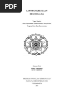 Download LP Hemodialisa by Diyah Rahmawati SN221587579 doc pdf