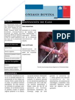 Trichomoniasis bovina: causas, síntomas y control