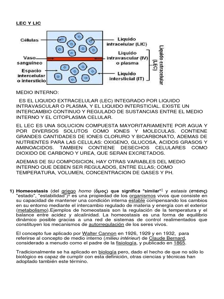 3° Medio Lec y Lic | PDF | Homeostasis | Membrana celular
