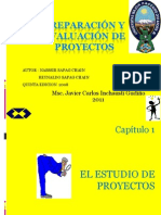 Proyectos Cap 1