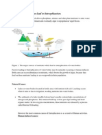 Pollution by Eutrophication