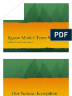 Jigsaw Model: Team 9
