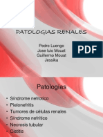 Patologias Renales 6233