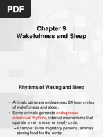 Adolescent Sleep Patterns PDF Adolescence Sleep 