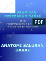 Sistem Saluran Darah