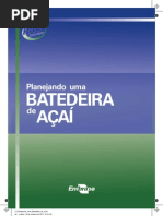 2 Planejando Uma Batedeira de Acai