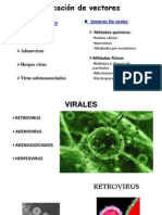 Clasificación de Vectores