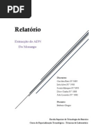 Relatório 6 MAB_Completo