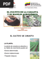 Download El Cultivo de CARAOTA by Australia Amundarain SN221699845 doc pdf