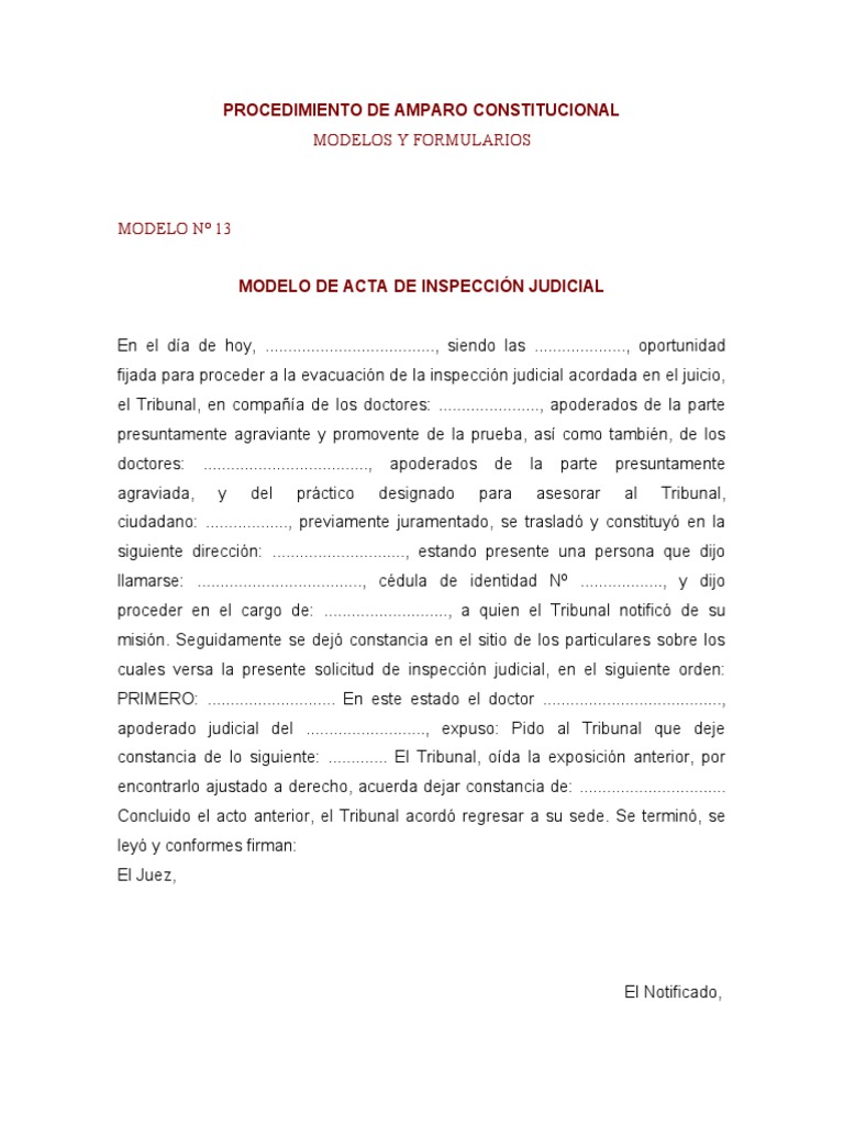 Modelo de Inspeccion Judicial en Materia de Amparo | PDF
