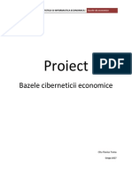 Proiect Bazele Ciberneticii Economice-Student