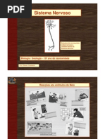 Sistema Nervoso - Revisão