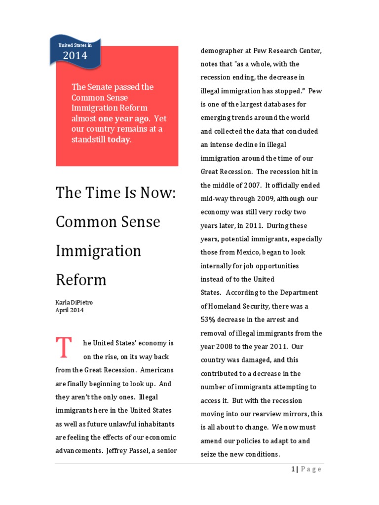 immigration reform research essay topics