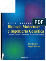 Mutagenesis Reparacion 2001