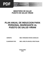 Plan de Induccion Viñani