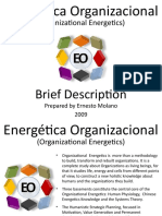 Energética Organizacional (Organizational Energetics) - A Brief Description