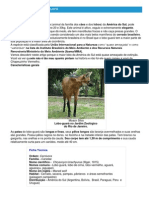 Lobo-Guará - Ficha Do Animal - Como Funciona o Lobo-Guará PDF